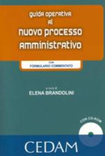 processo amministrativo guida id10002
